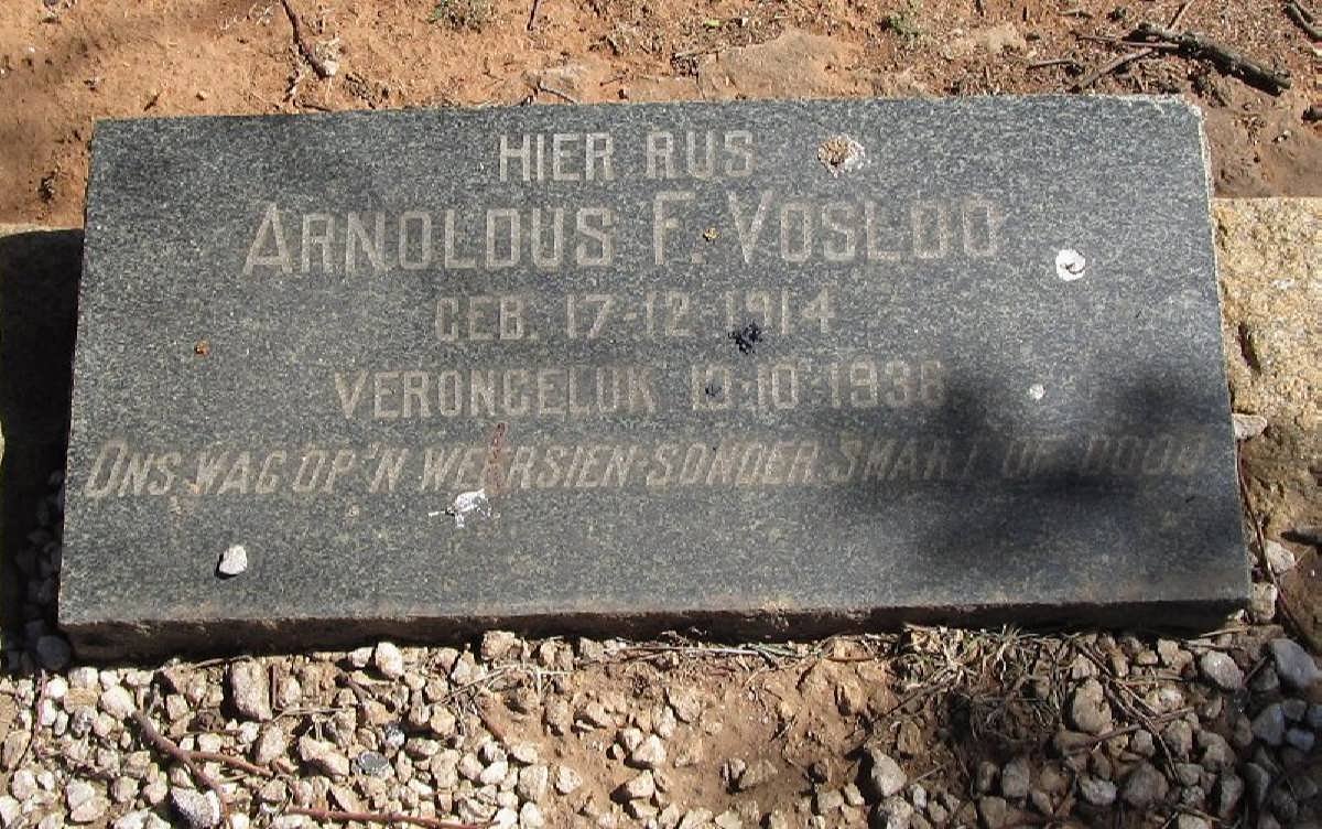VOSLOO Arnoldus F. 1914-1936