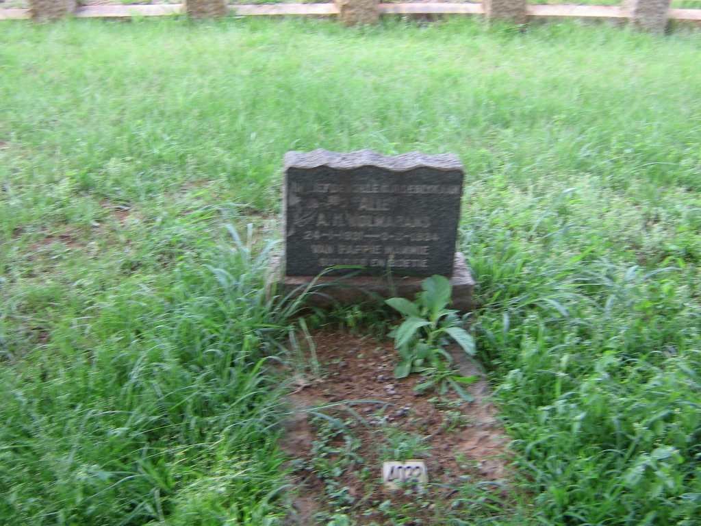 WOLMARANS A.H. 1931-1934