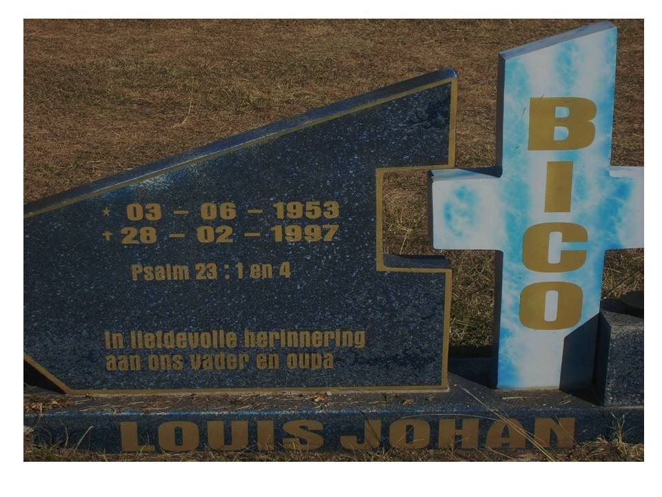 BICO Louis Johan 1953-1997