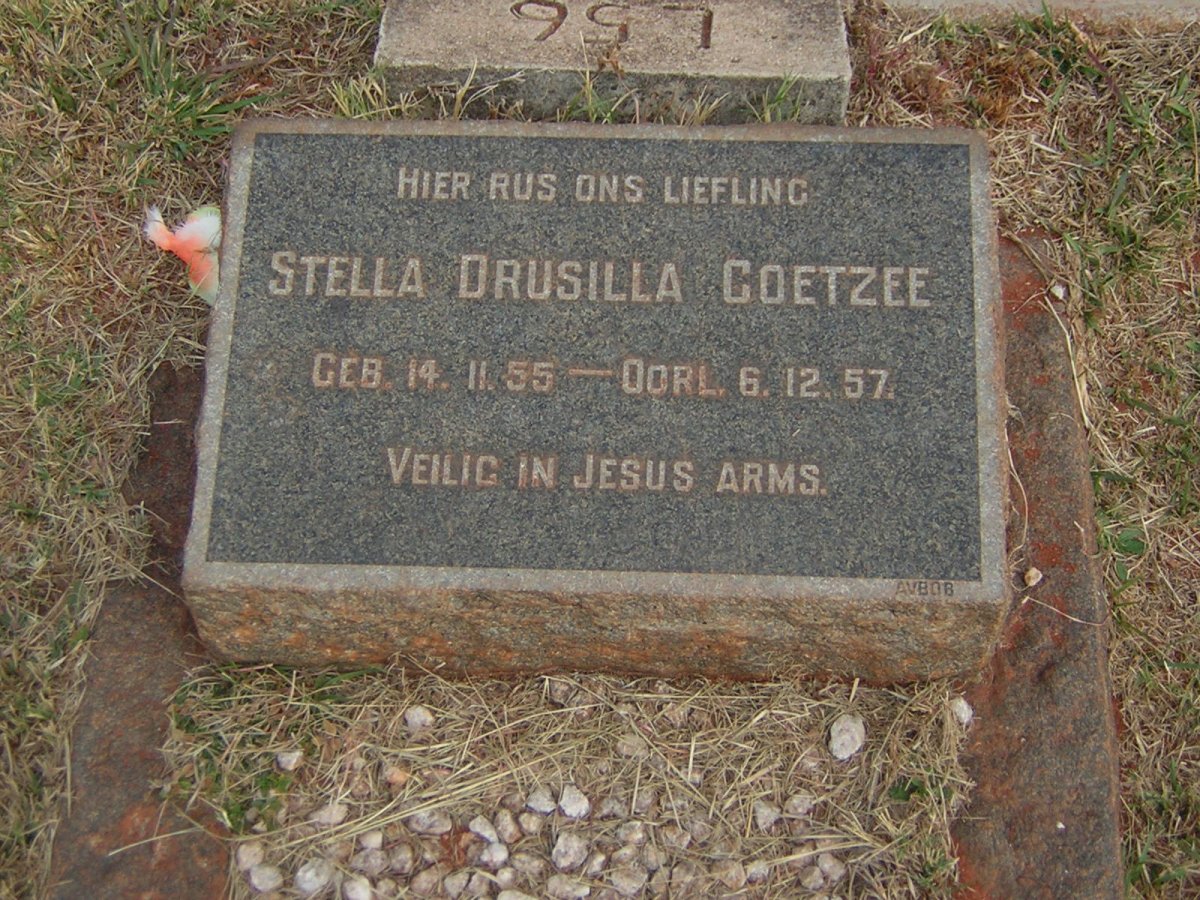COETZEE Stella Drusilla 1955-1957