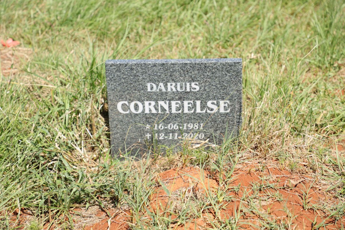 CORNEELSE Daruis 1981-2020