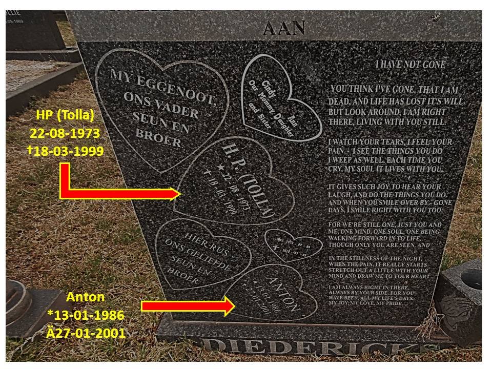 DIEDERICKS H.P. 1973-1999 :: DIEDERICKS Anton 1986-2001