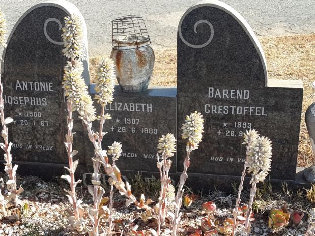 GEYER Barend Crestoffel 1893-19?? :: GEYER Antonie Josephus 1900-1967 :: GEYER Elizabeth 1907-1989