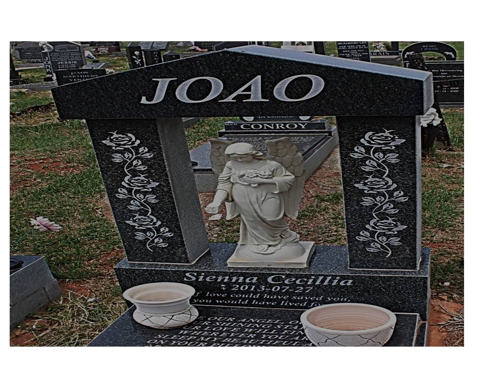 JOAO Sienna Cecillia 2013-2013