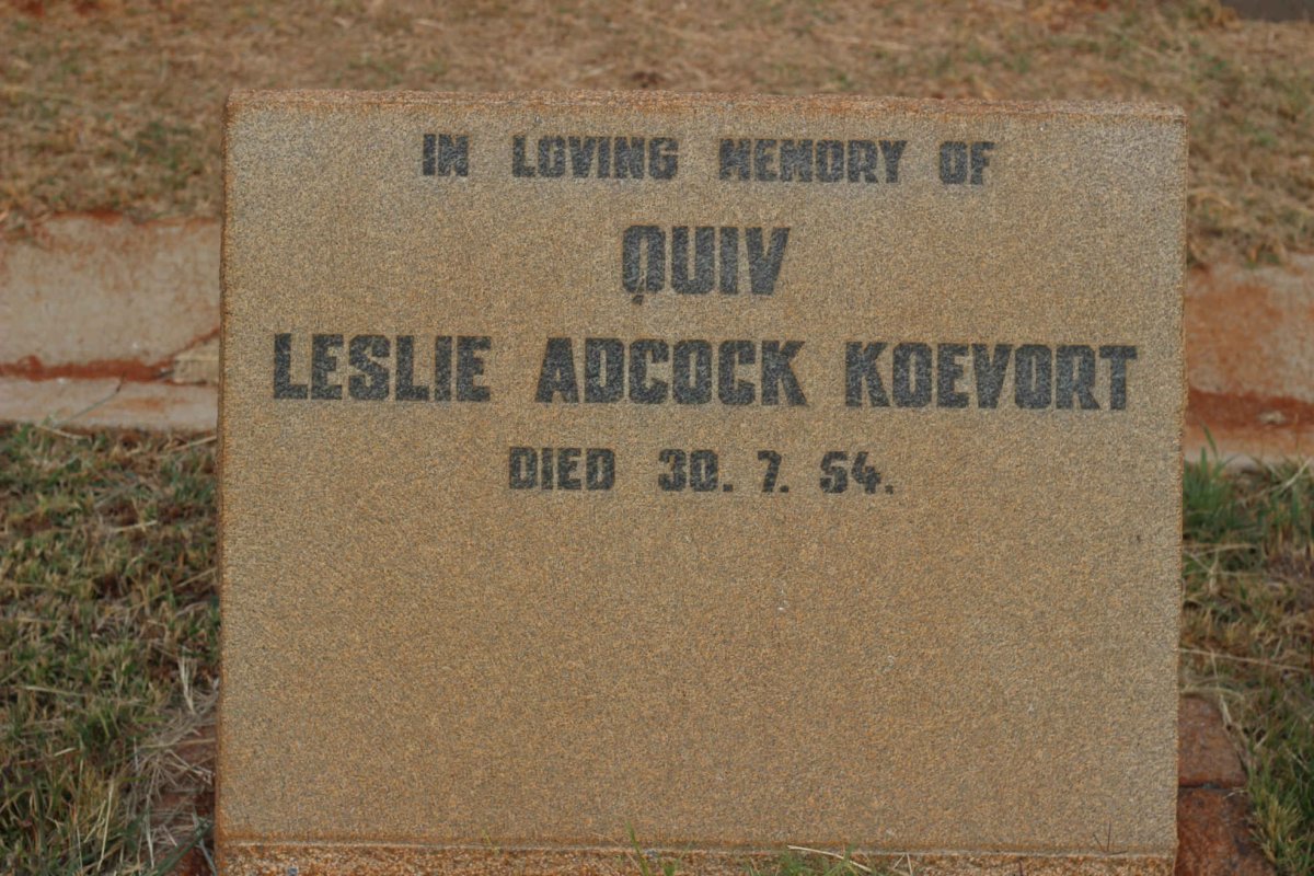 KOEVORT Leslie Adcock -1954