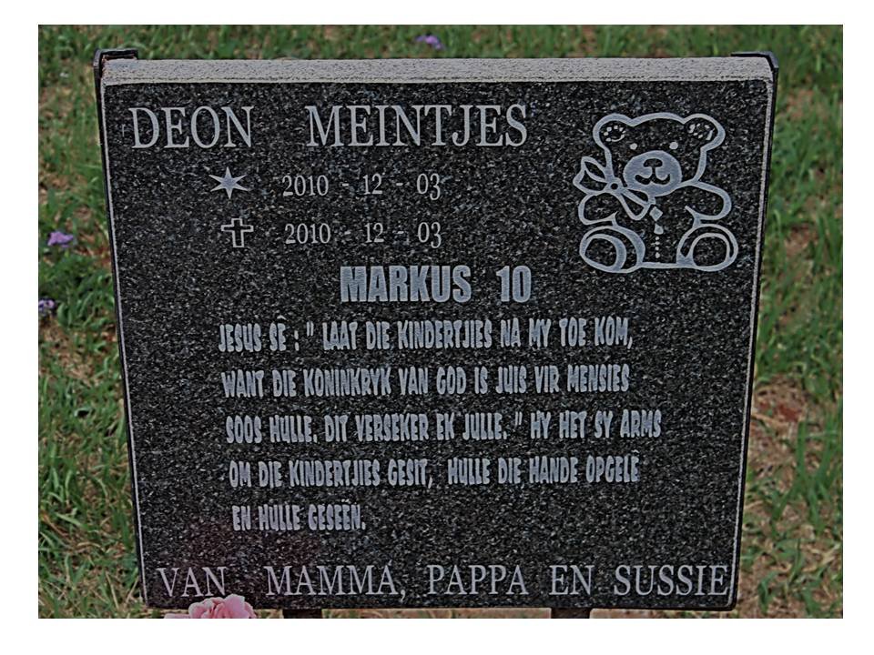 MEINTJES Deon 2010-2010