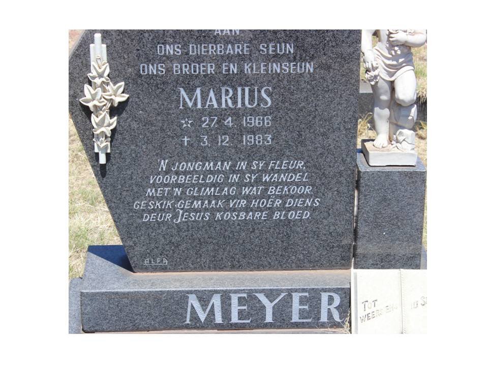 MEYER Marius 1966-1983