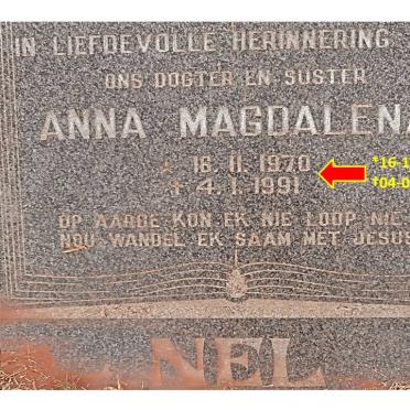 Nel AM