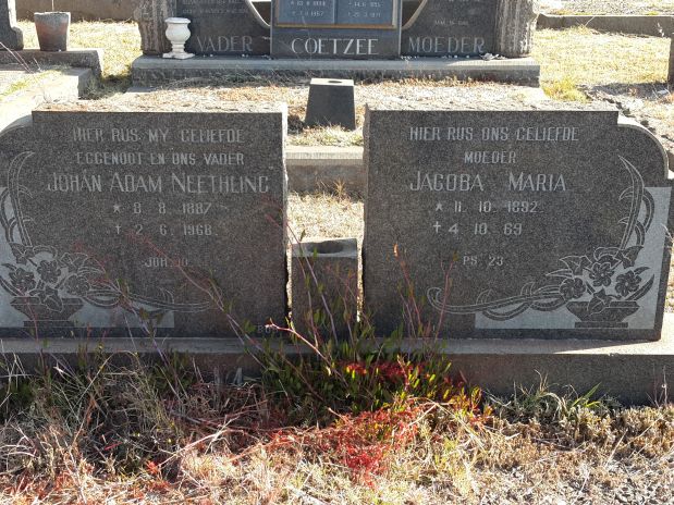 Neethling JA _ JM