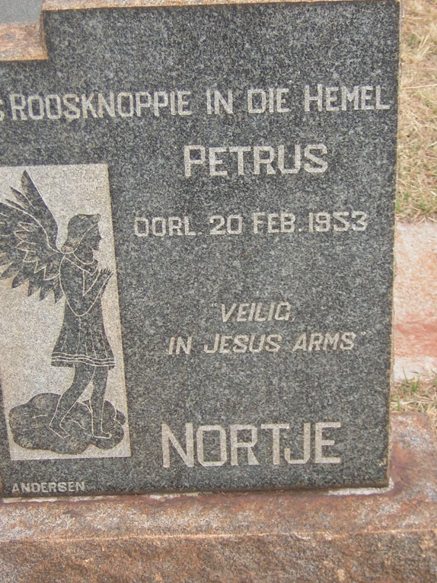 NORTJE Petrus -1953