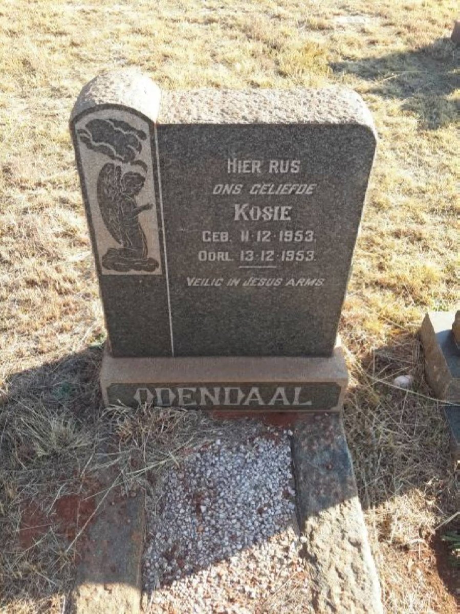 ODENDAAL Kosie 1953-1953