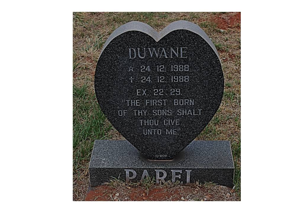 PAREL Duwane 1988-1988