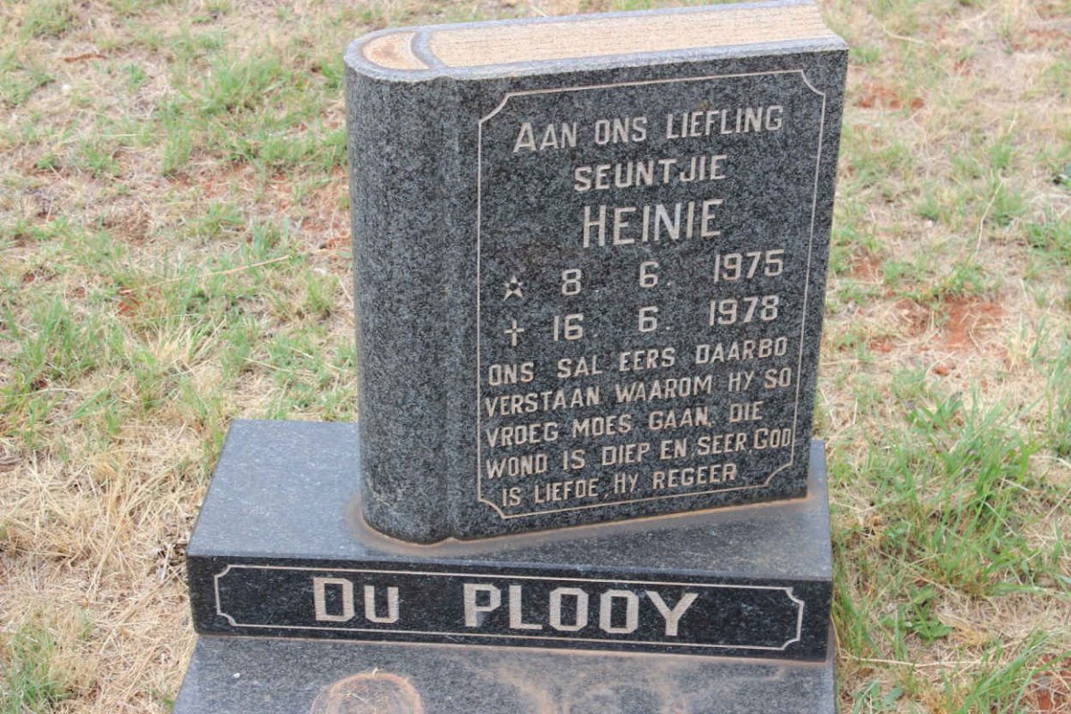 PLOOY Heinie, du 1975-1978
