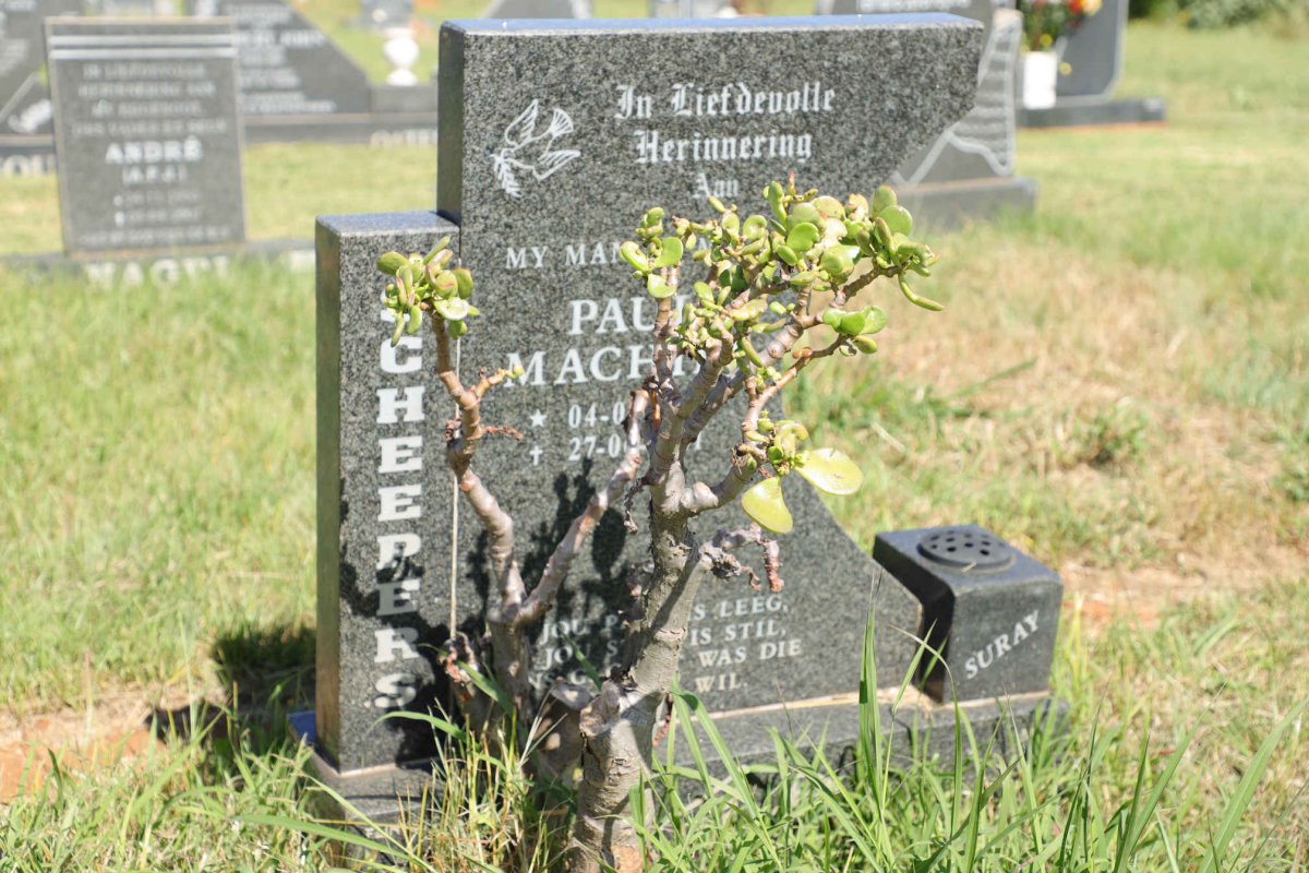 SCHEEPERS Paul Machiel 1954-2001