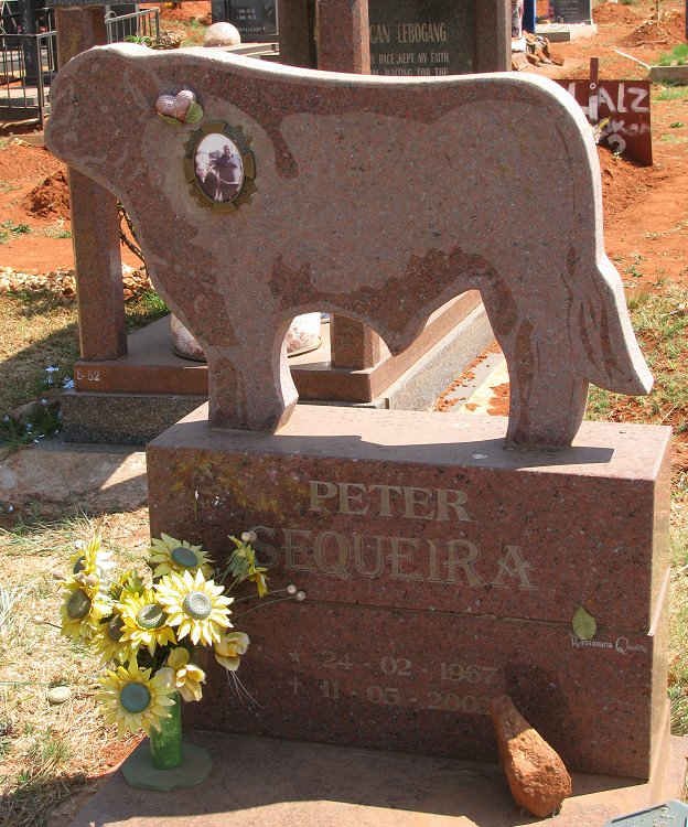 SEQUEIRA Peter 1967-200?