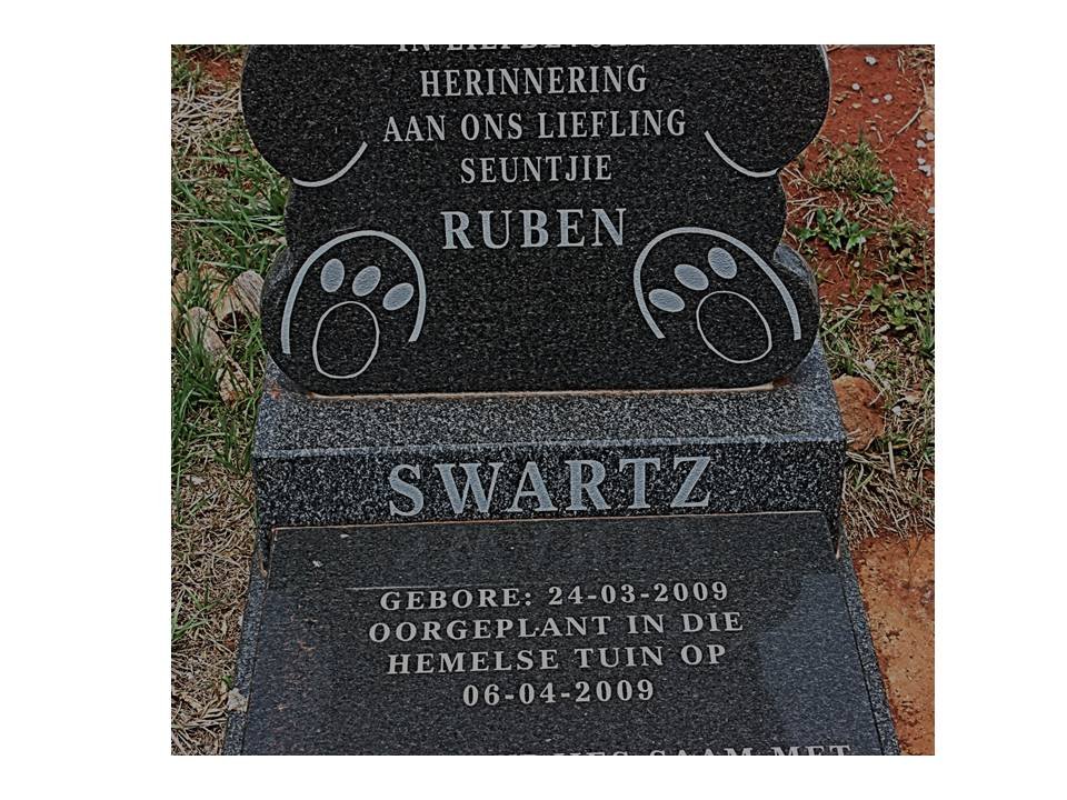 SWARTZ Ruben 2009-2009