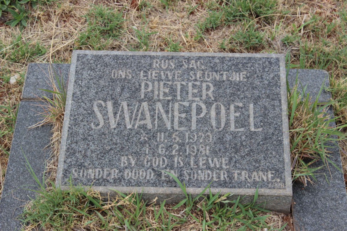 SWANEPOEL Pieter 1979-1981