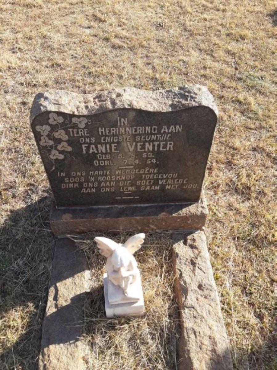 VENTER Fanie 1953-1954