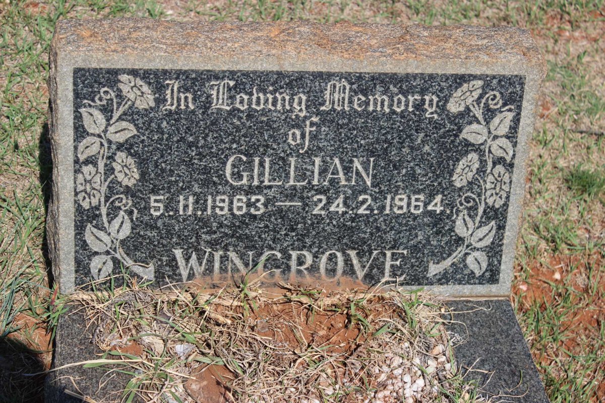 WINGROVE Gillian 1963-1964