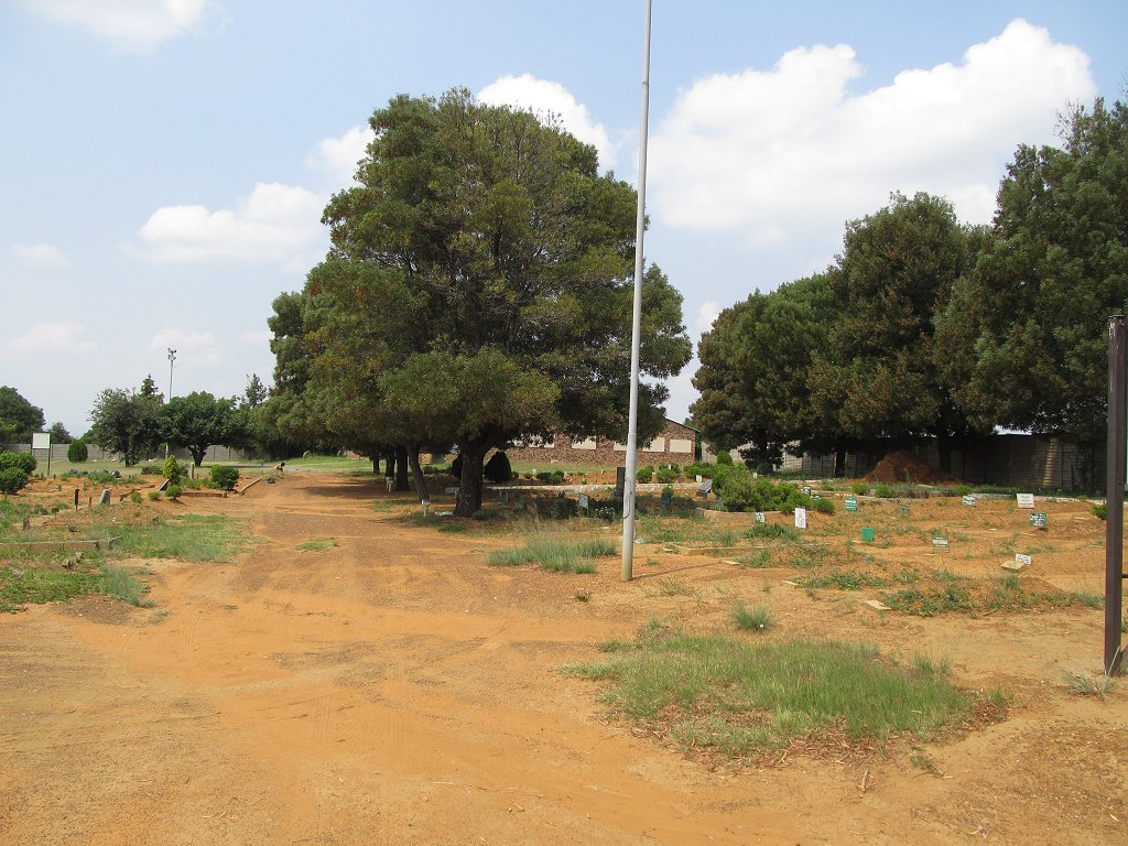 4. Overview