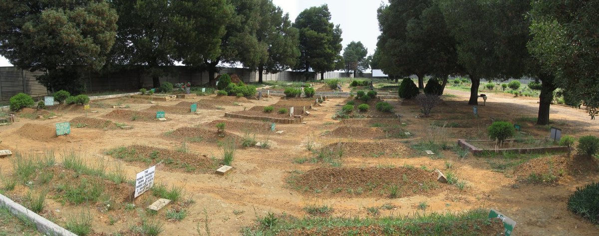 3. Overview