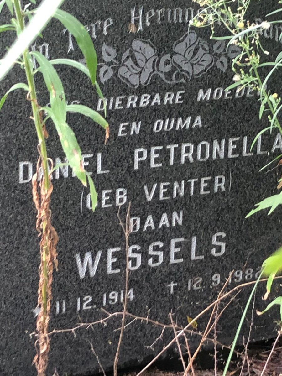 WESSELS Daniel Petronella nee VENTER 1914-1982