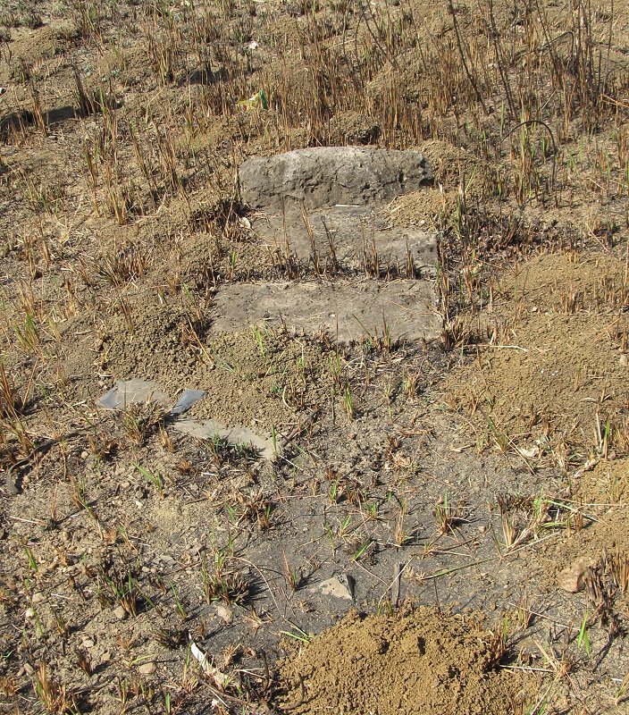4. Overview