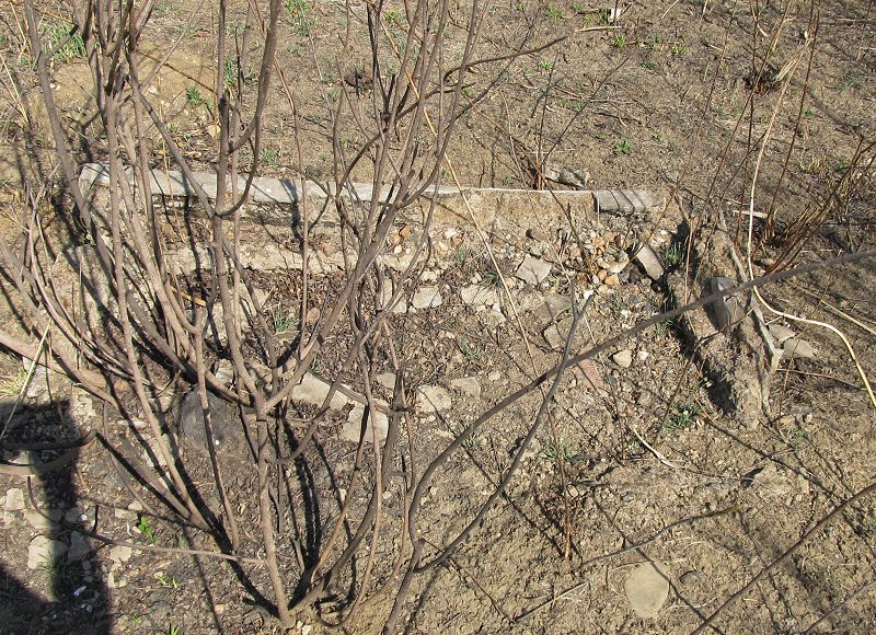 2. Overview