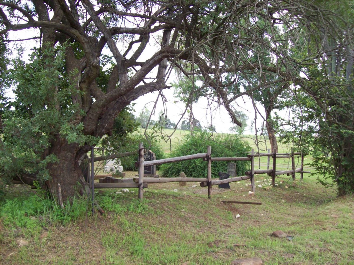 1. Overview