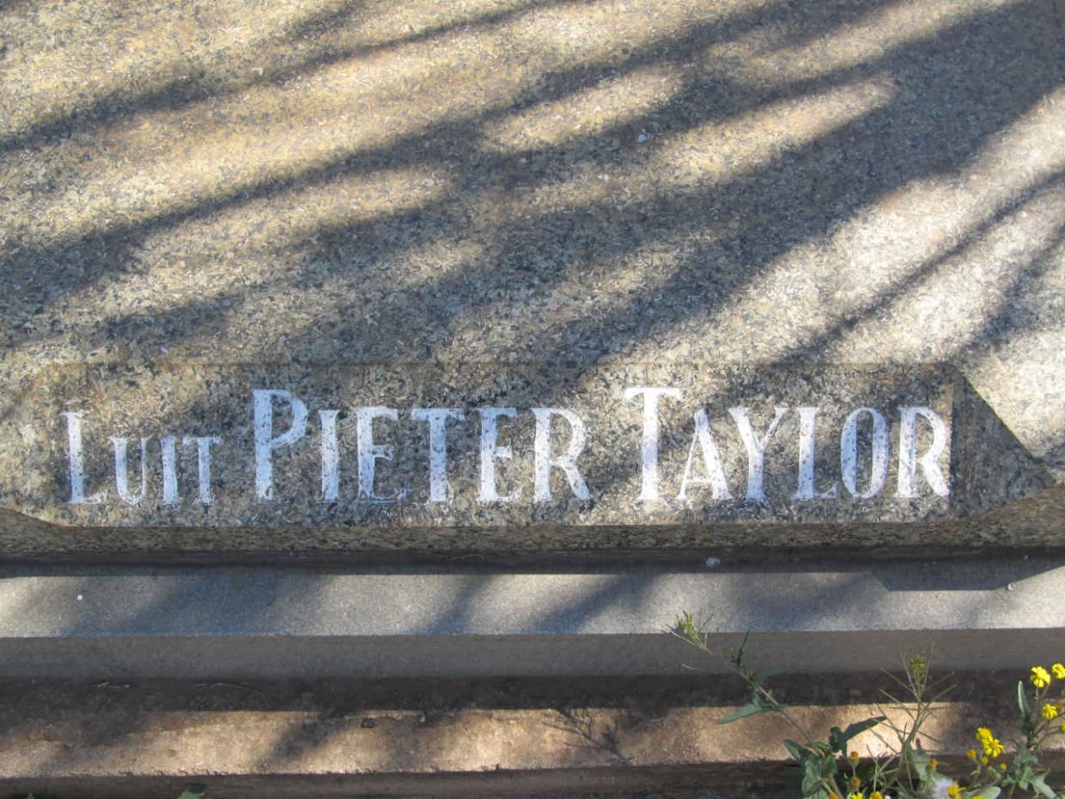 TAYLOR Pieter 1961-1981