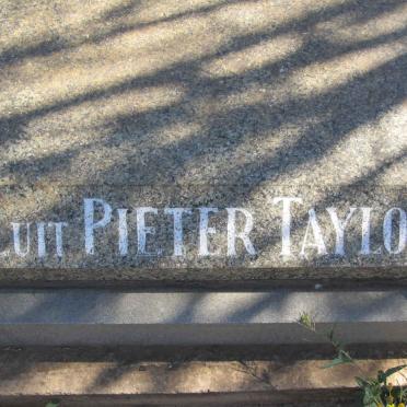 TAYLOR Pieter 1961-1981