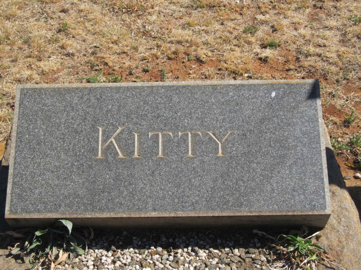 ? Kitty