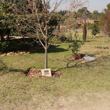 4. Memorial garden with plaques under the trees