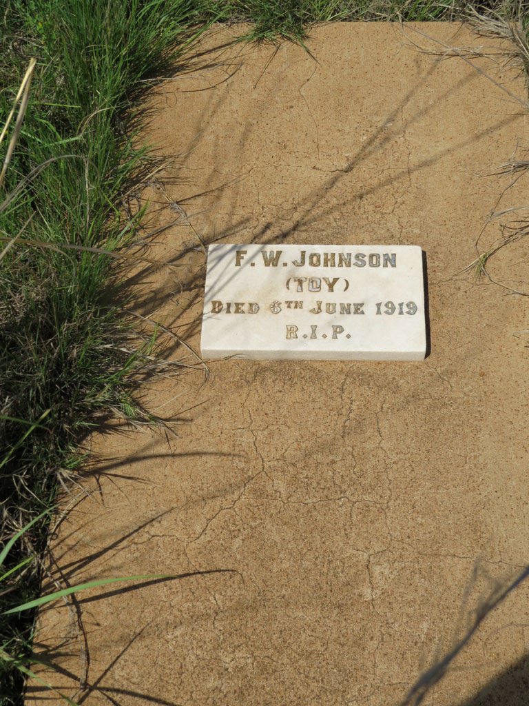 JOHNSON F.W. -1919