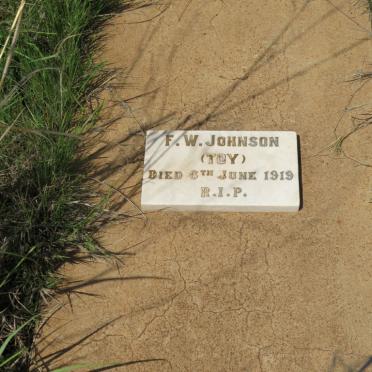 JOHNSON F.W. -1919