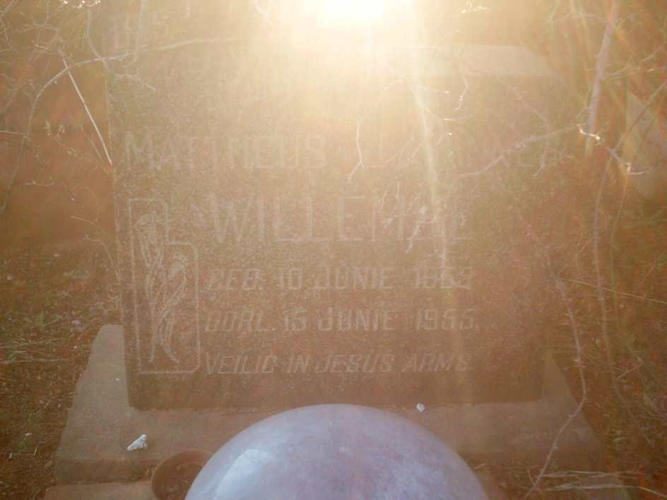 WILLEMSE Mattheus Johannes 1955-1955