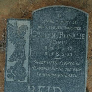 REID Evelyn Rosalie 1942-1950
