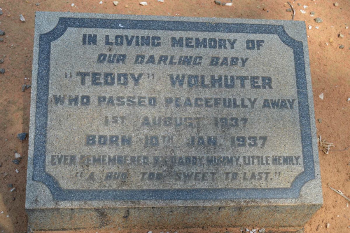 WOLHUTER Teddy 1937-1937