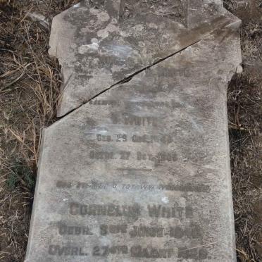 WHITE Cornelus 1840-1929 &amp; Antonette BEZUIDENHOUT 1846-1906