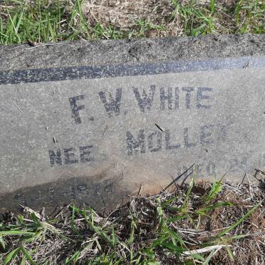 WHITE F.W. nee MOLLET 1873-1958