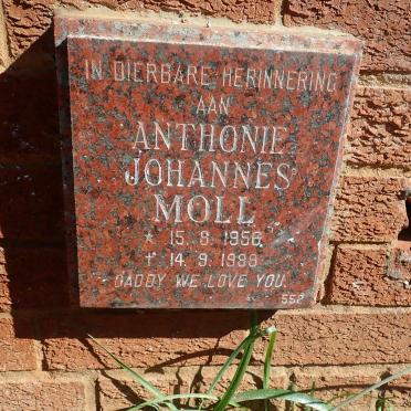 MOLL Anthonie Johannes 1956-1989