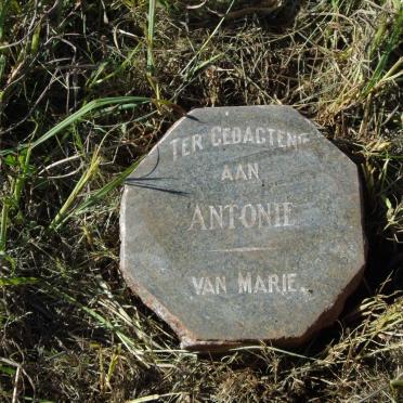 ? Antonie