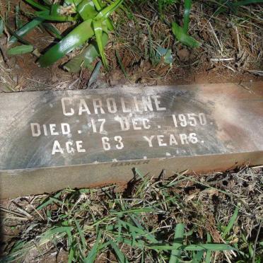 ? Caroline -1950
