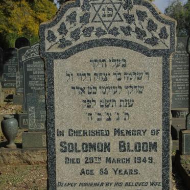 BLOOM Solomon -1949