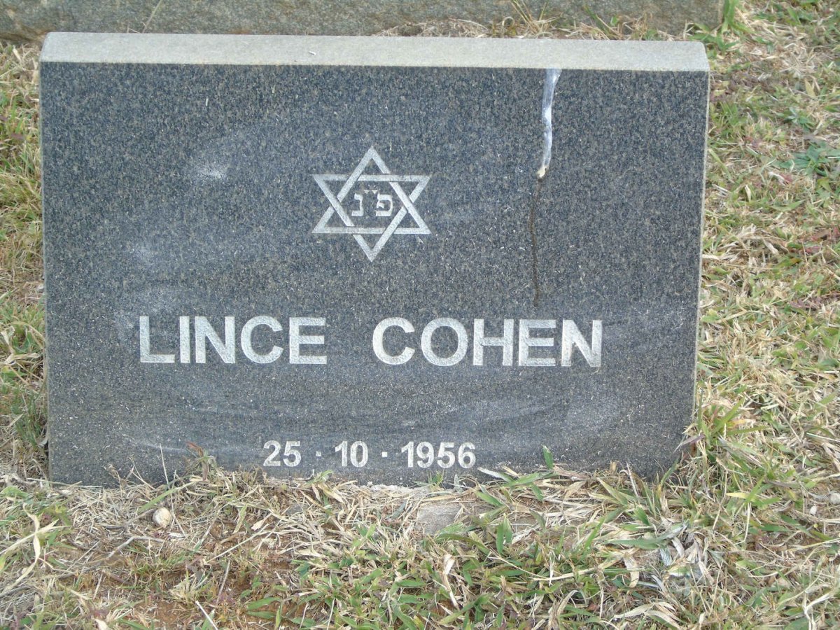 COHEN Lince -1956