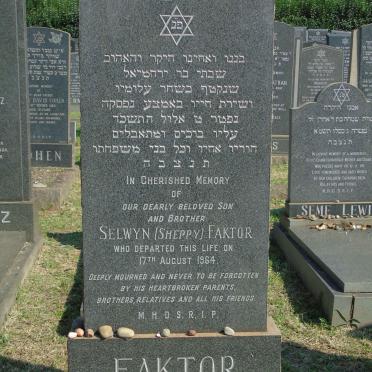 FAKTOR Selwyn -1964