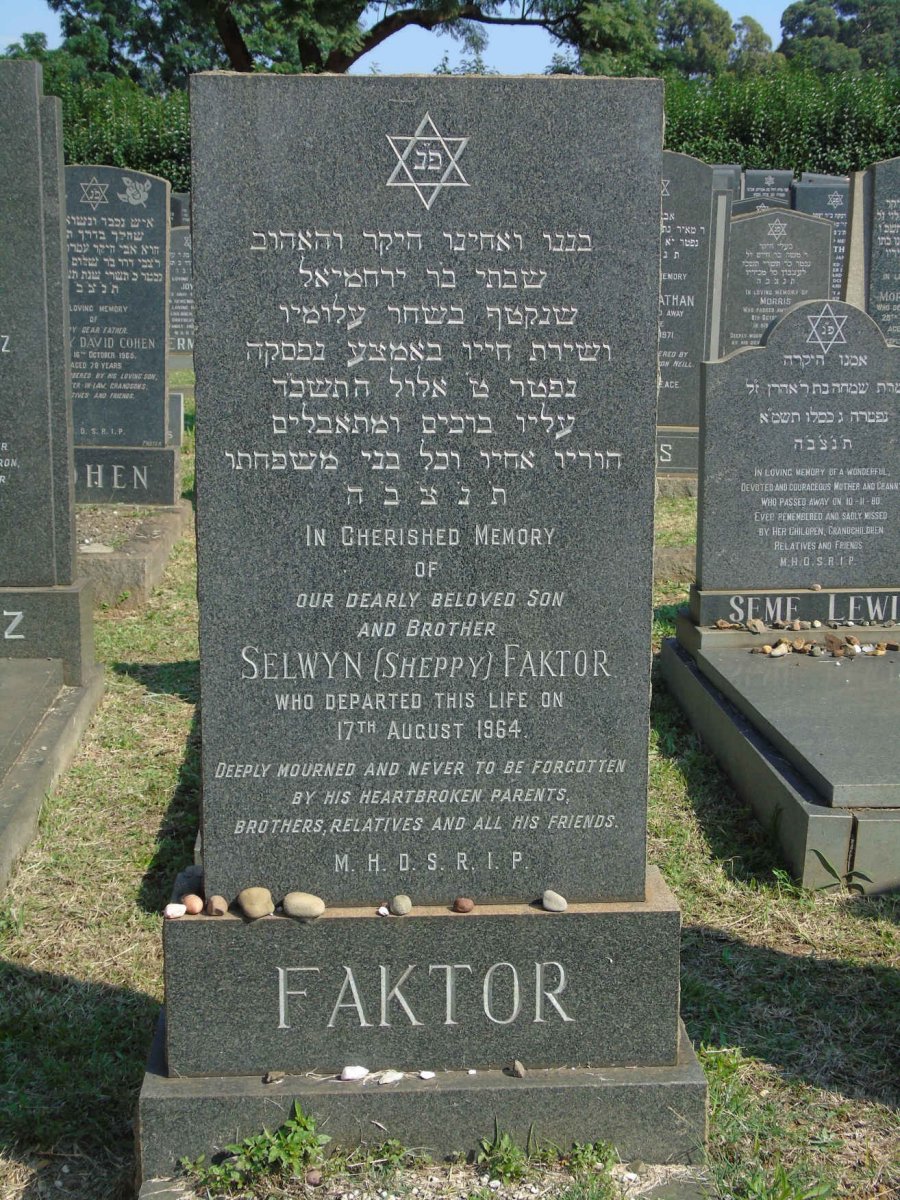 FAKTOR Selwyn -1964