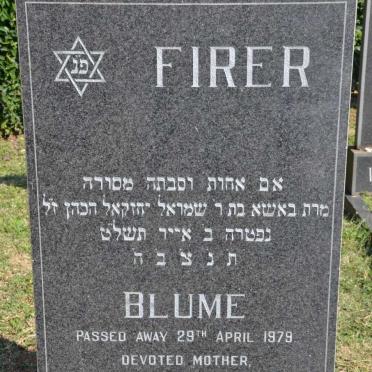 FIRER Blume -1979