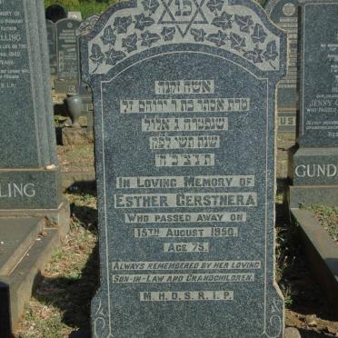 GERSTNERA Esther -1950
