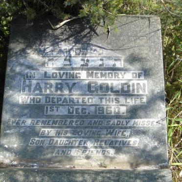 GOLDIN Harry -1960